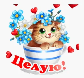 Целую Любовь Открытка