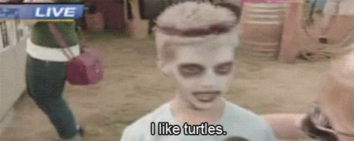 i like turtles