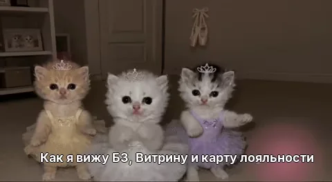 Как я вижу БЗ, Витрину и карту лояльности