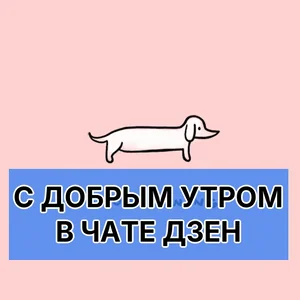 С ДОБРЫМ УТРОМ В ЧАТЕ ДЗЕН