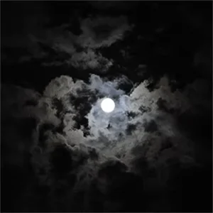Black And White Night