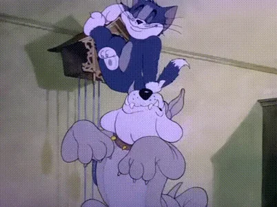 Том И Джерри Дразнит