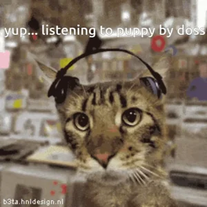 Doss Puppy Its The Music
