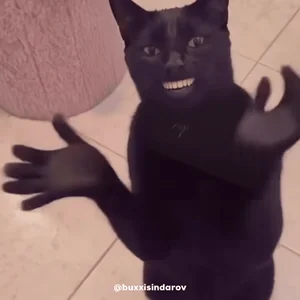 Кот Нет Омг
