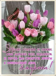 Butterfly Flowers Purple