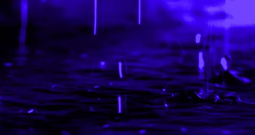 raining purple rain