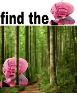Where Is She