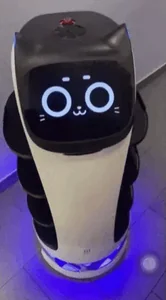 Bella Bot Bellabot