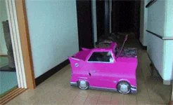 Кот Животные Машина