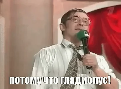 потому что гладиолус квн потомучто уральские пельмени