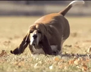 Slow Motion Running