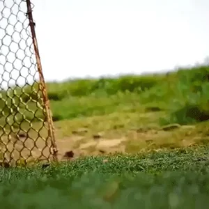 Курица Привет Мем