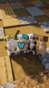 Cats Dancing