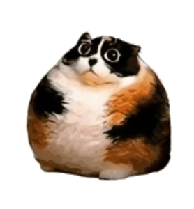Кот Толстый Крутится