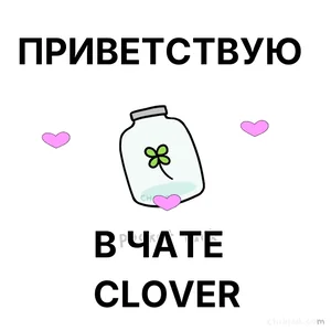 Привет