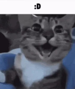 Реакция Счастье Кот