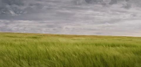 wind breathe