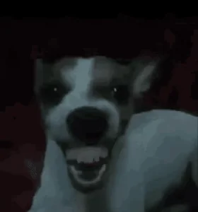 Dog Laughing