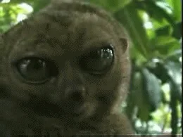 Мороженое Время Моя Реакция Когда