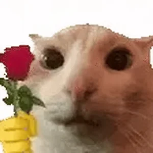 Ожило Улыбка Котик Мем