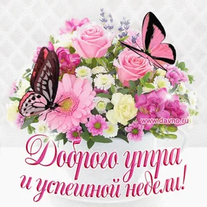 Утро