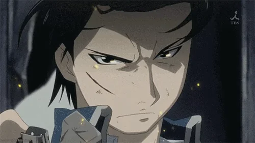 fullmetal alchemist brotherhood