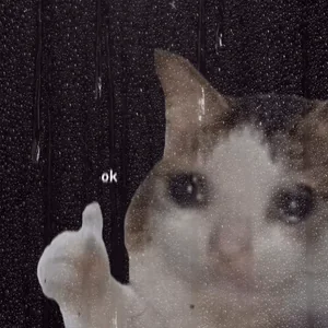 Ок Хорошо Класс