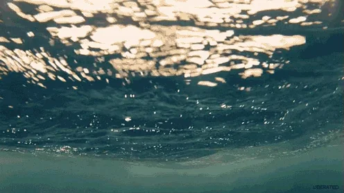 Summer Ocean