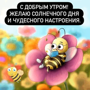 Доброе Утро