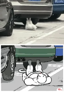 Кот Спорт Мем