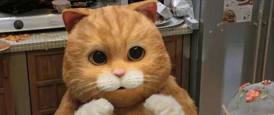 Моя Реакция Когда Котенок Котики