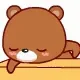 Bear Sleep