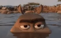 Привет Хэй Брови