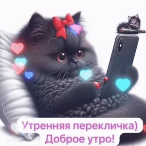 Утро Доброе Котик