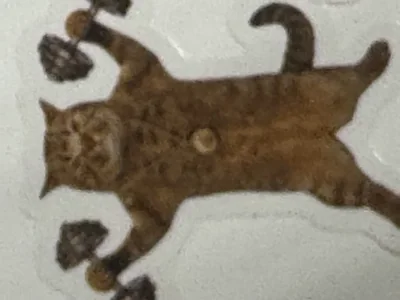 Танцующий Кот Котик Мем Котик07