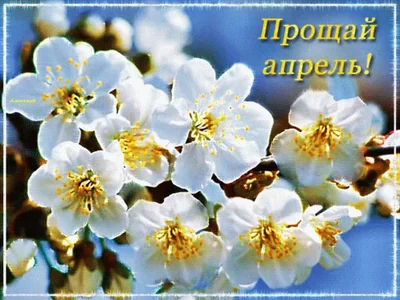 Прощайапрель