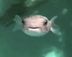 Water Smiling