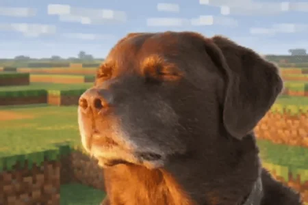 Dog Grass