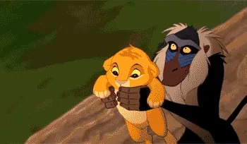 Throwing The Lion King