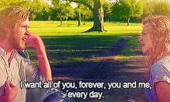 the notebook love