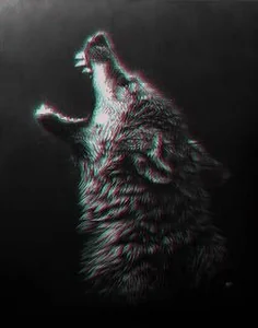 Волк Курт Grey Wolf