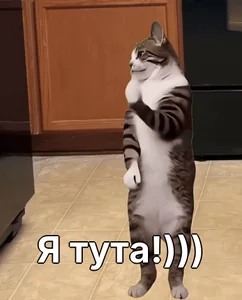 Я тута!)))
