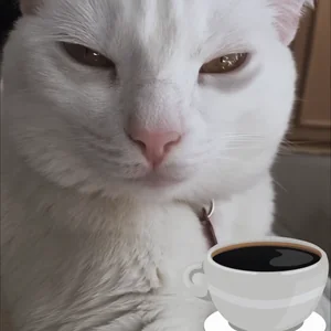Кофе Утро Бодрит