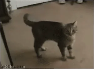 Страх Боится Драка