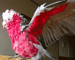 Крутой Модный En Vogue