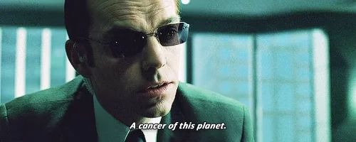the matrix sunglasses