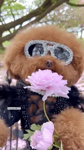 Bob Ross Flowers