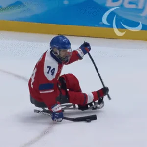Tripped Ice Hockey Michal Geier