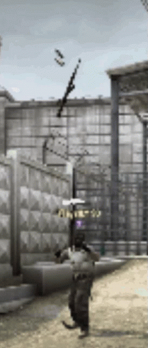 Circus Counter Strike ГИФ на GIFS.RU