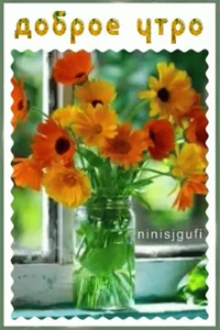 Dobroe Utro Flowers